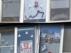 img (3)